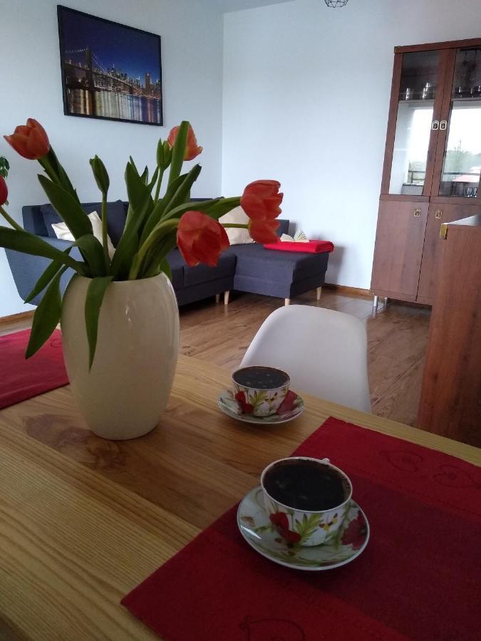Apartament Marta Biłgoraj Esterno foto